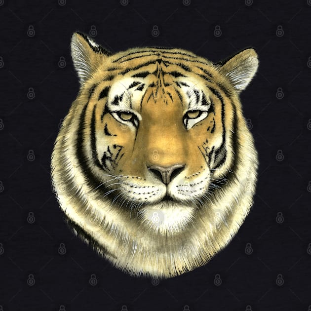 Tiger, symbol of the year. by Lara Plume